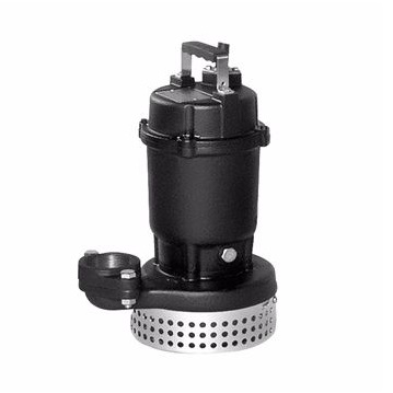 Máy bơm nước thải Ebara DS