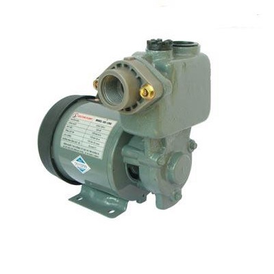 Máy bơm nước Selton 200E
