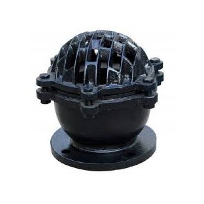 RỌ BƠM MẶT BÍCH TQ